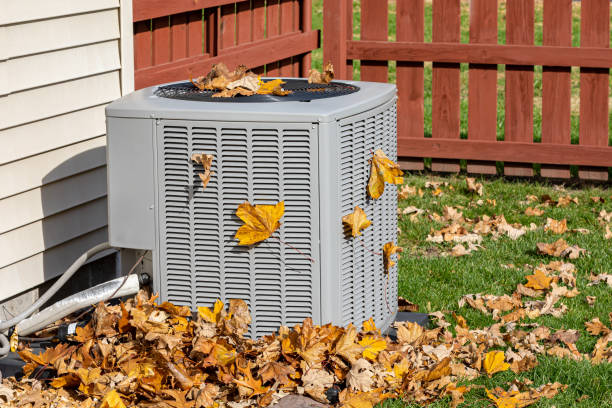 Best Affordable HVAC Services  in Wagon Wheel, AZ